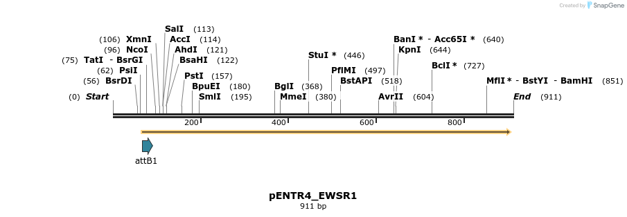 32535_map