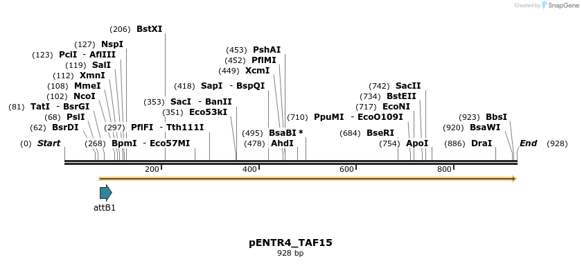 32537_map