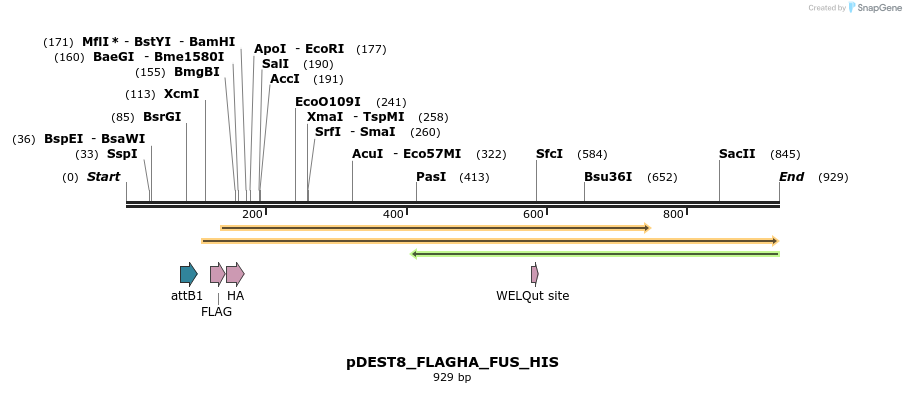 32545_map
