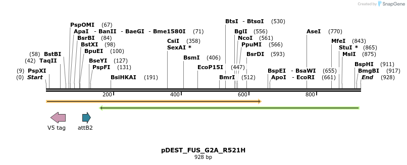 32552_map