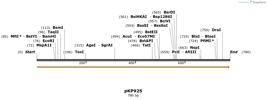325558_map
