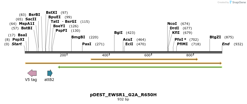 32556_map