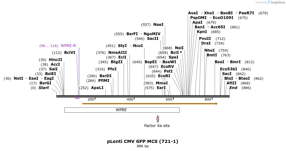 32561_map