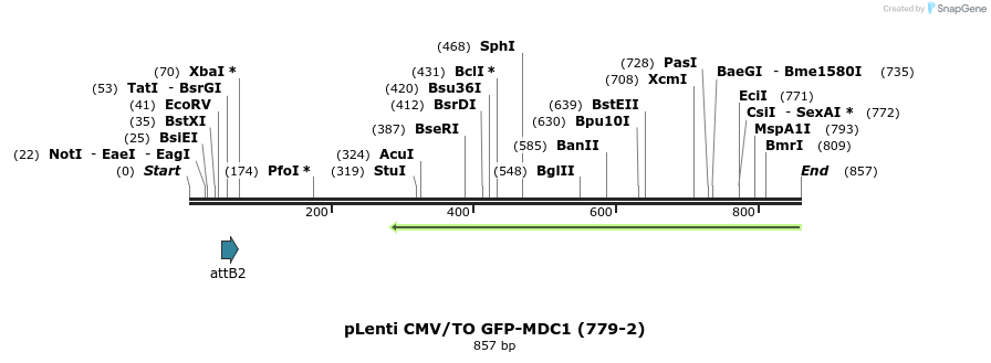 32562_map
