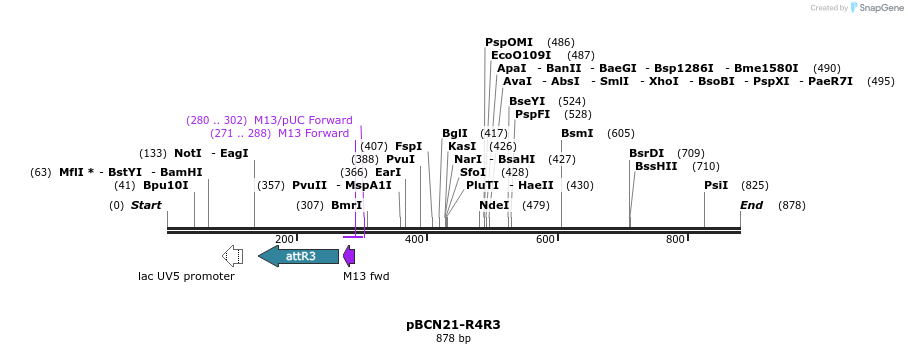 32571_map