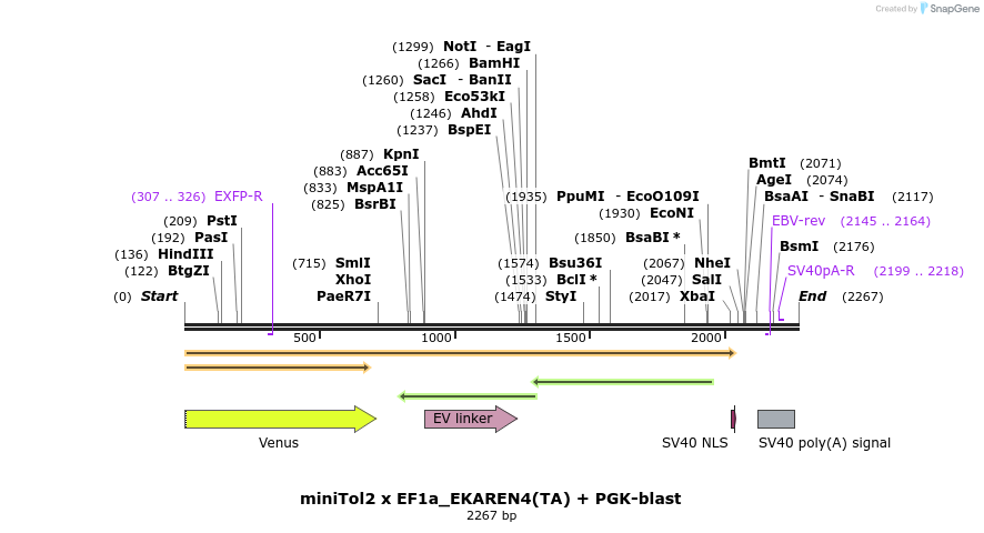 325722_map