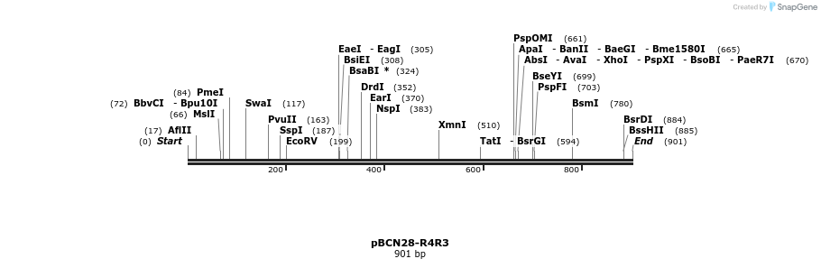 32574_map