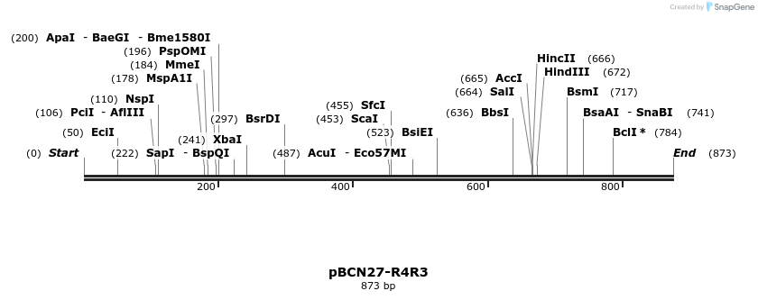 32578_map