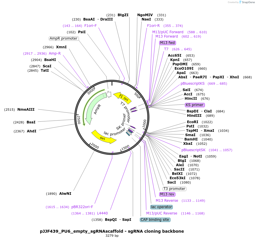 325780_map