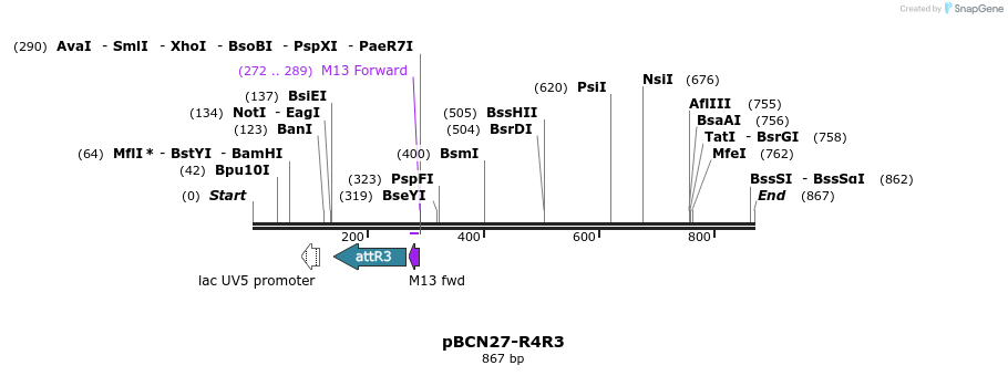 32579_map
