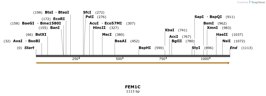 325790_map