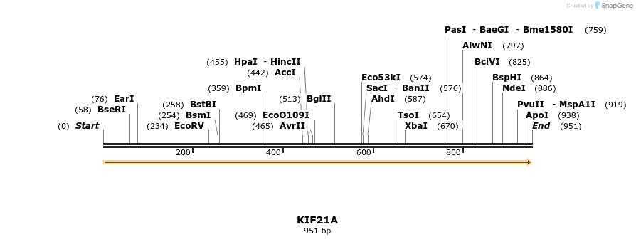 325791_map