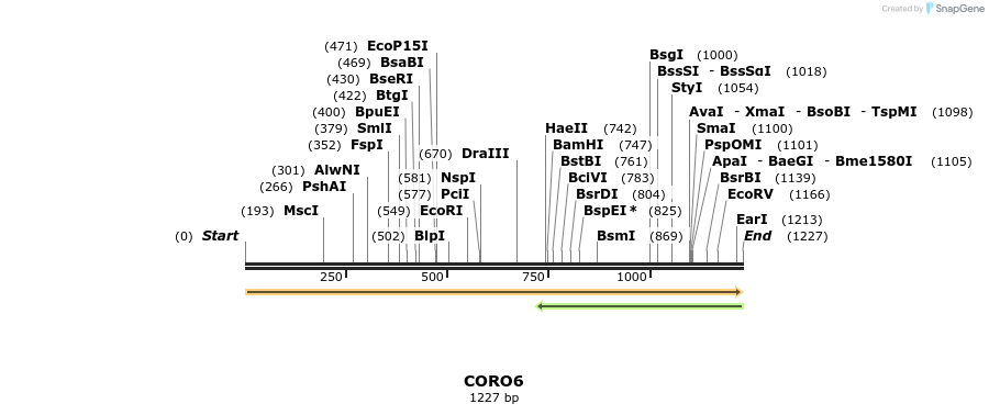 325793_map