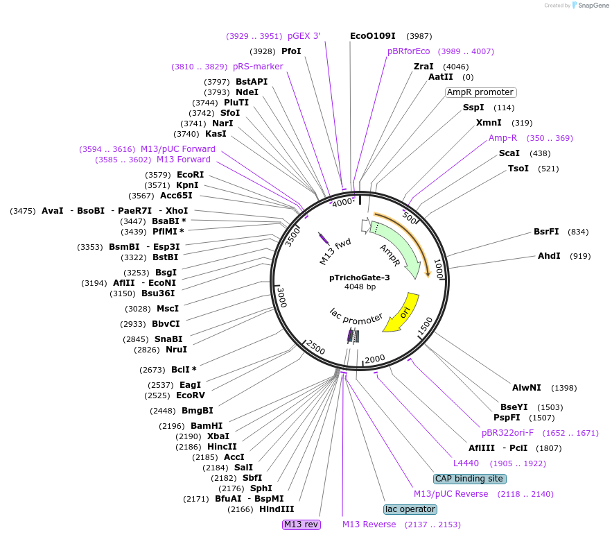 325810_map
