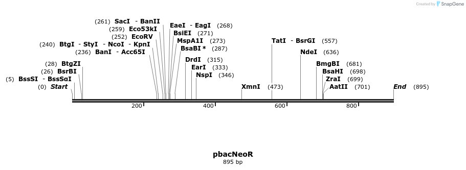 32584_map