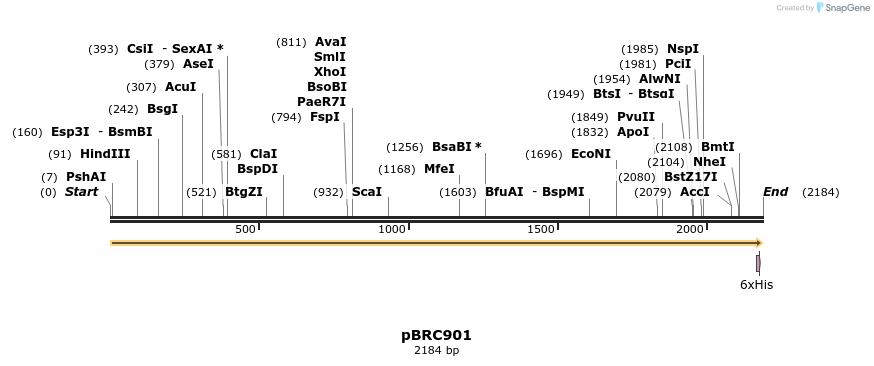 325840_map
