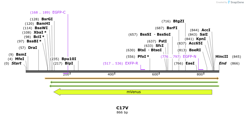 32585_map