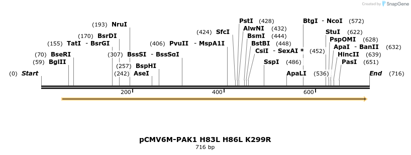 32590_map