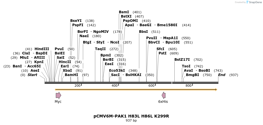 32591_map