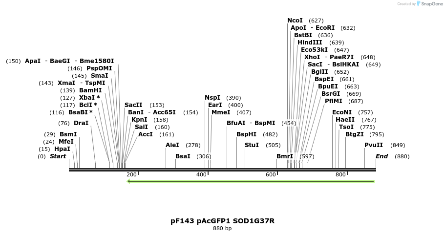 32600_map