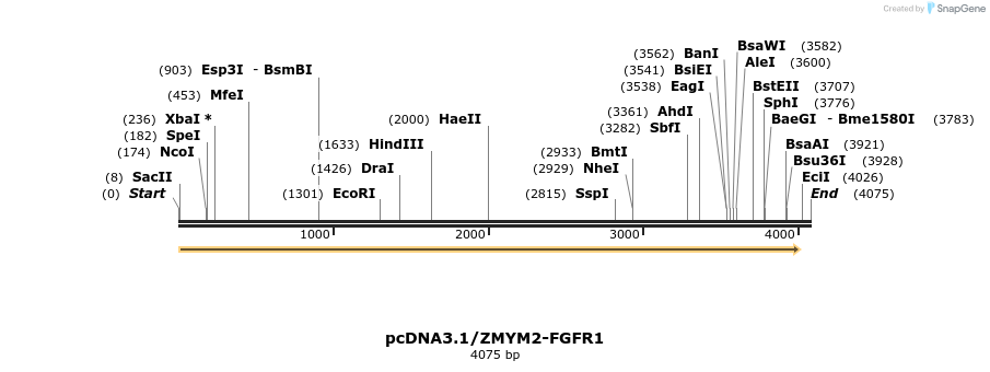 326007_map
