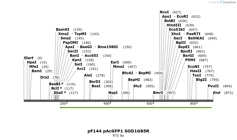 32601_map