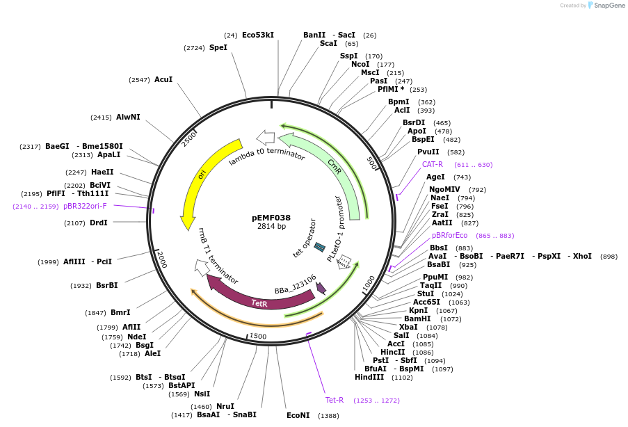 326015_map