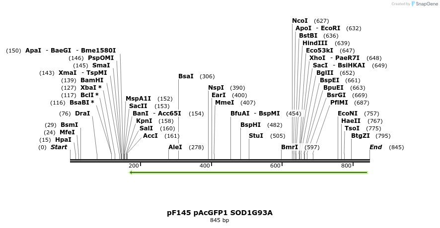 32602_map