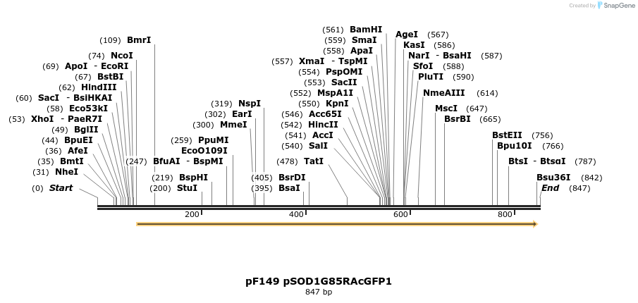 32606_map