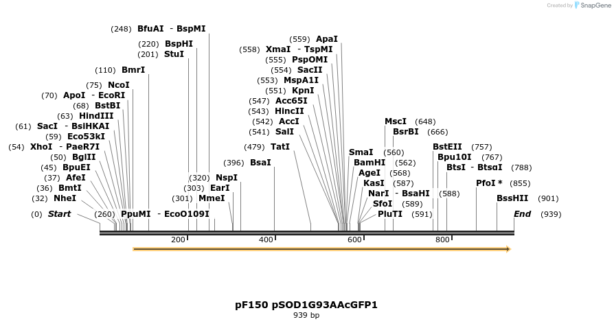 32607_map