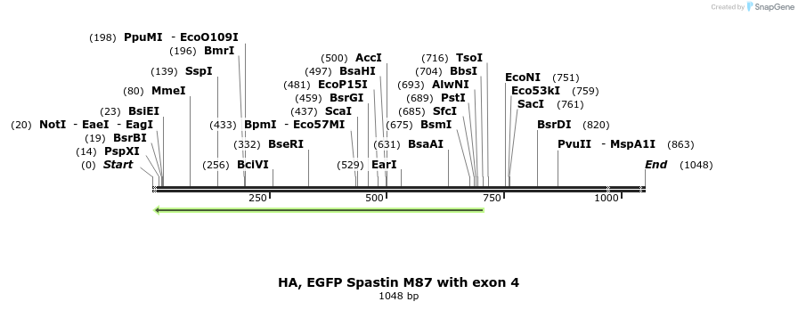 326075_map