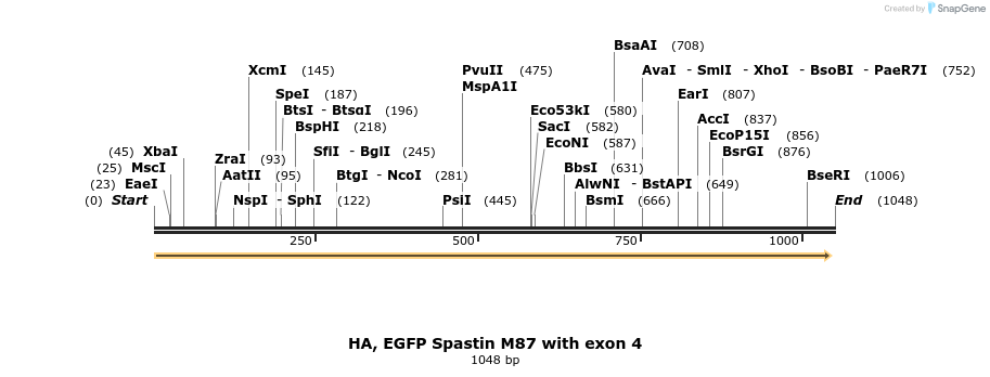 326076_map