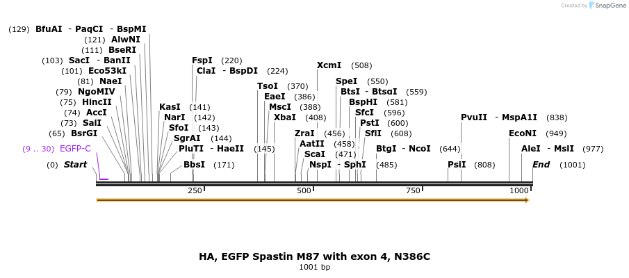 326081_map