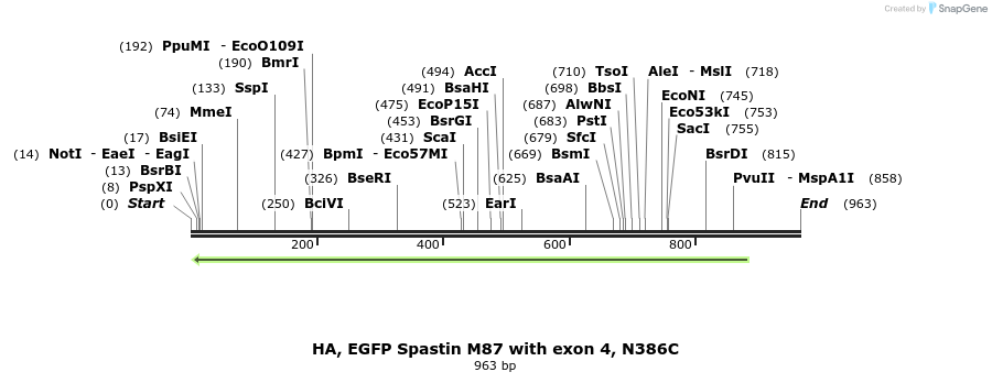 326082_map