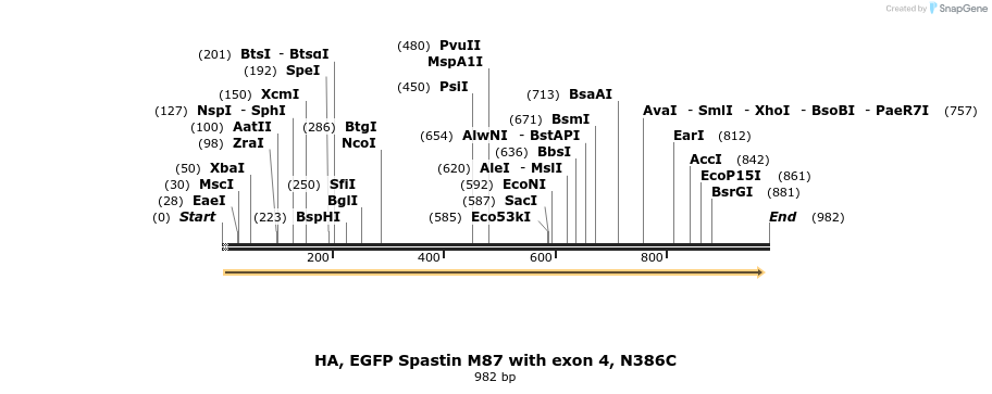 326083_map
