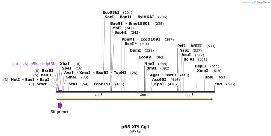 32619_map