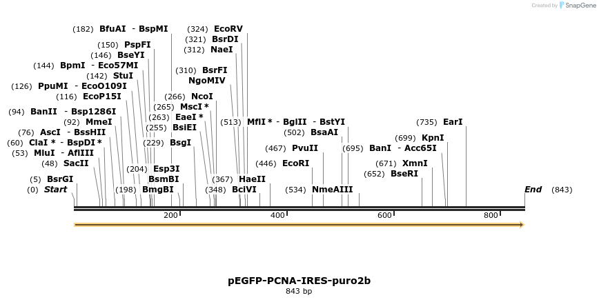 32625_map