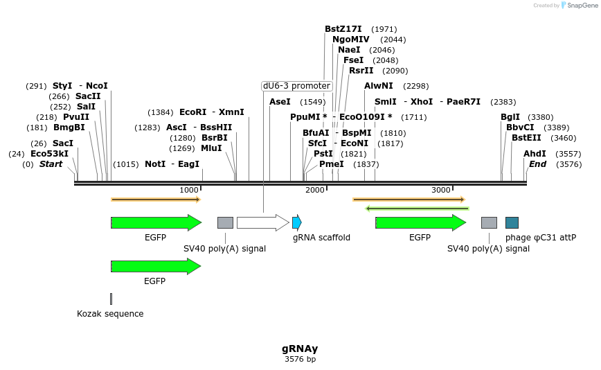 326328_map