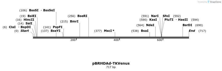 32633_map