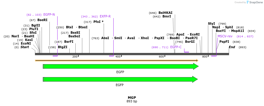 32638_map