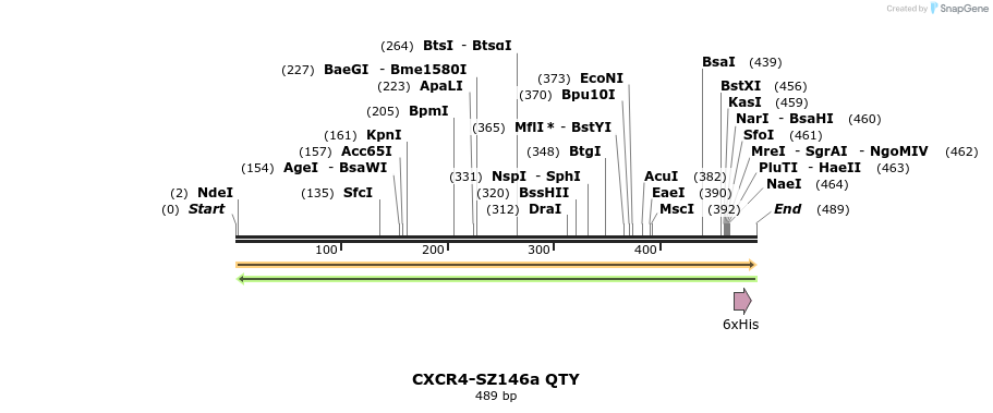 326389_map
