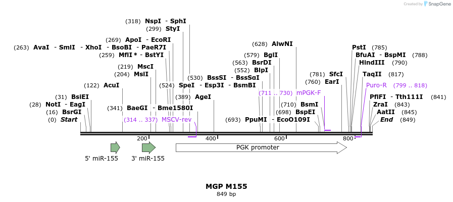 32639_map
