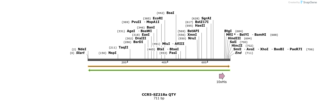 326391_map