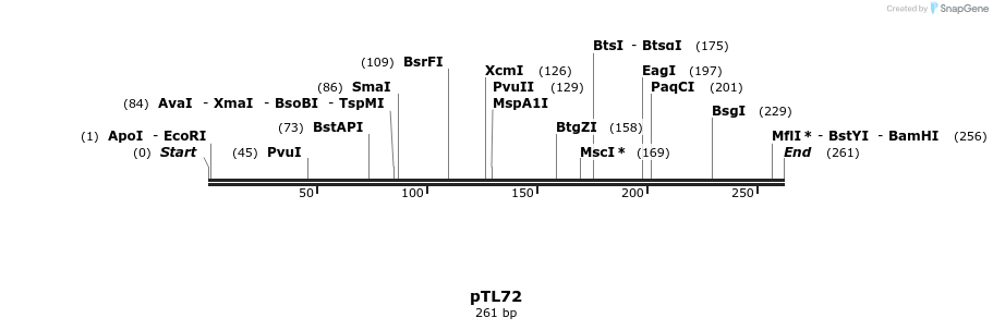 326406_map