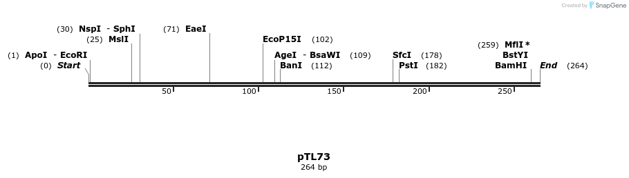 326407_map