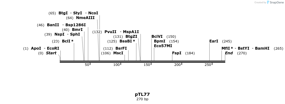 326411_map
