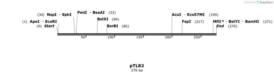 326416_map