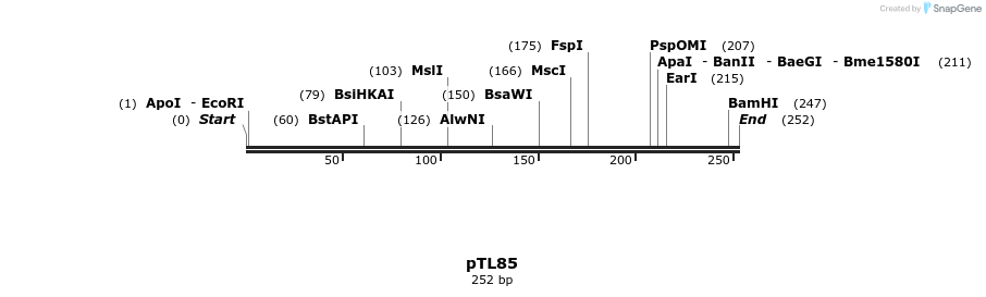 326419_map