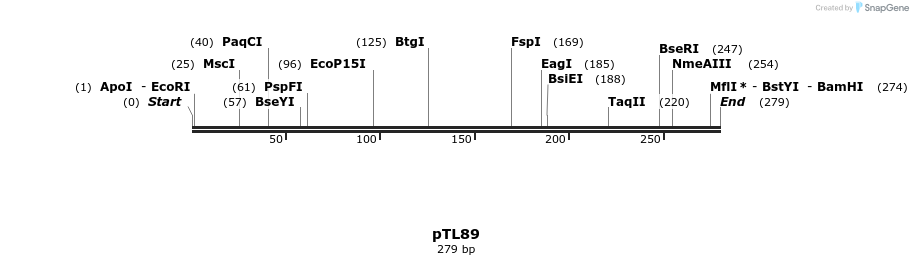 326423_map