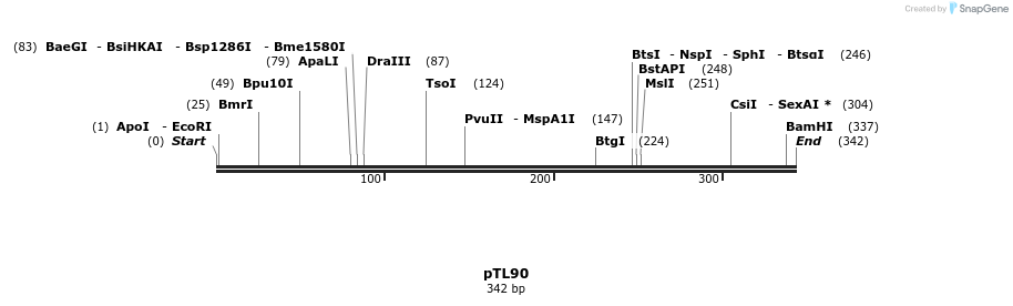 326424_map